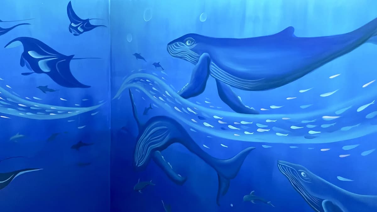 Fresque murale océan pour salle collective par Mer Veilleuse
